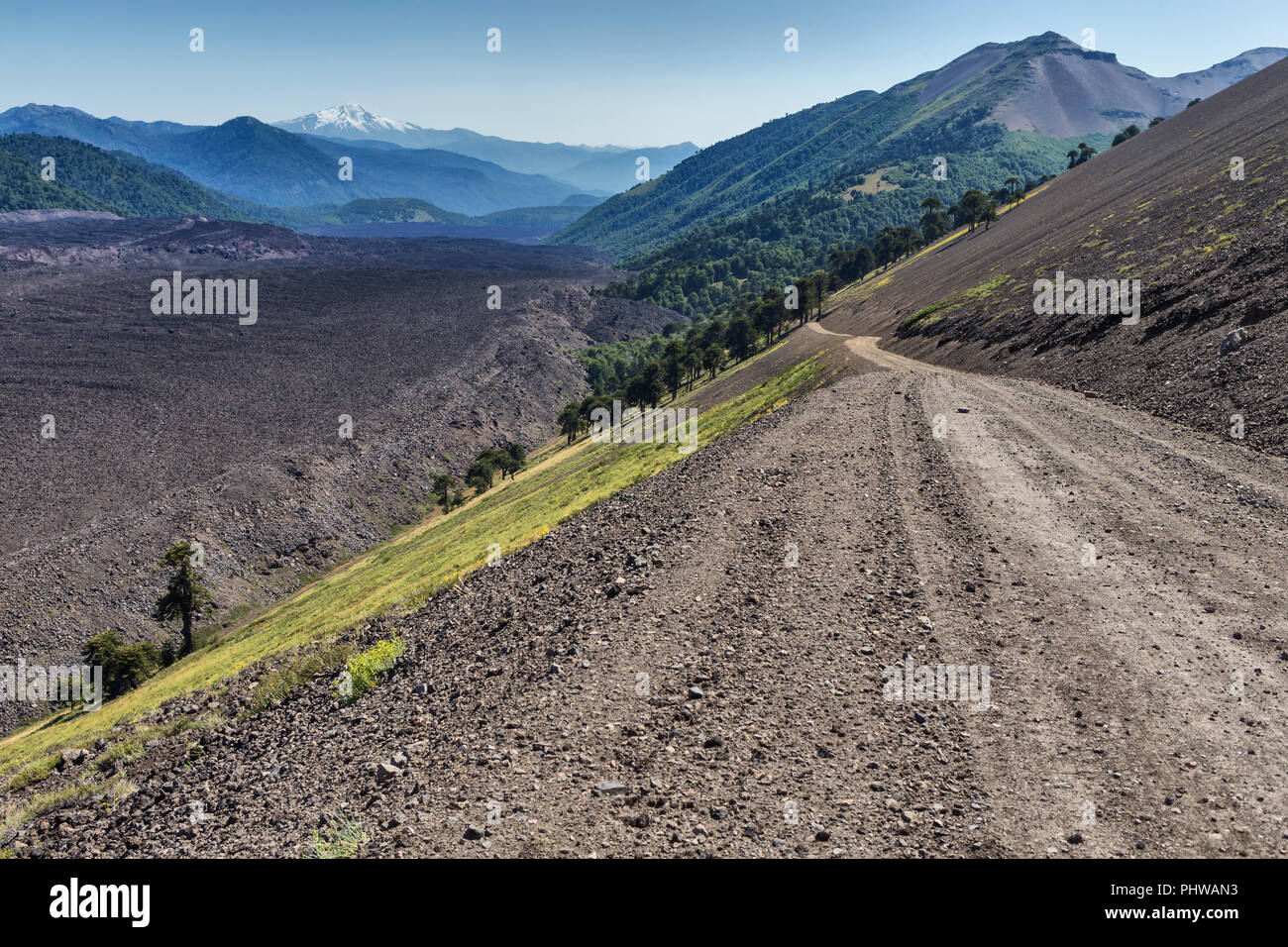 Volcan Lonquimay, Réserve nationale du Malalcahuello-Nalcas, région d'Araucania, Chili Banque D'Images