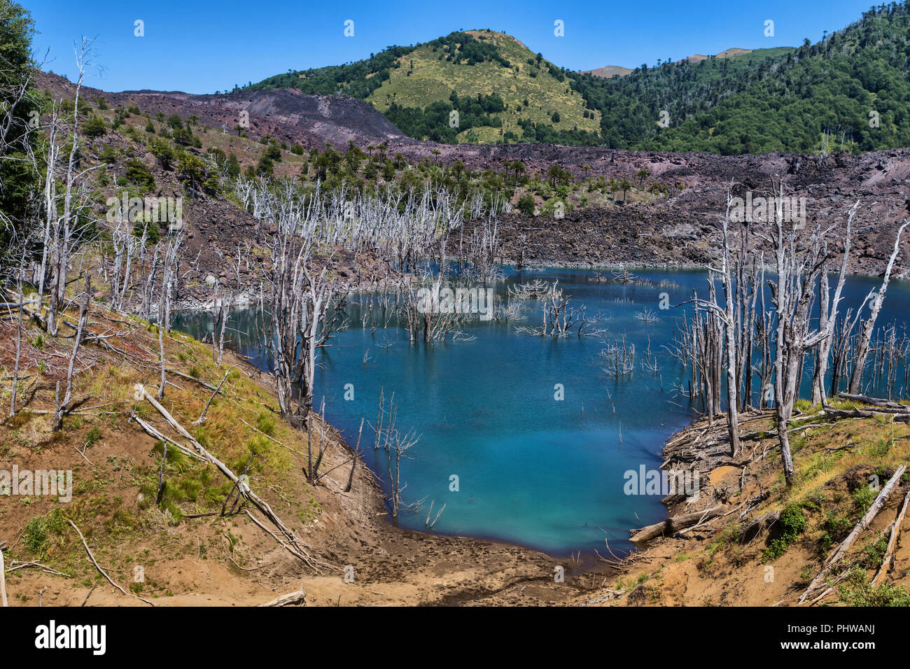 Lac volcanique, Réserve nationale du Malalcahuello-Nalcas, région d'Araucania, Chili Banque D'Images