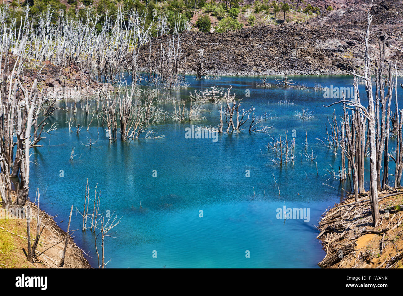 Lac volcanique, Réserve nationale du Malalcahuello-Nalcas, région d'Araucania, Chili Banque D'Images