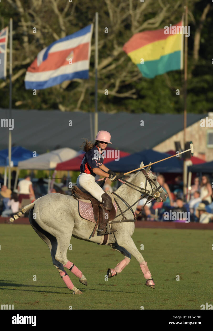 Un joueur de polo femme participe à l'assemblée annuelle l'Angleterre vs USA match à Newport Polo à Newport, Rhode Island, USA. Banque D'Images