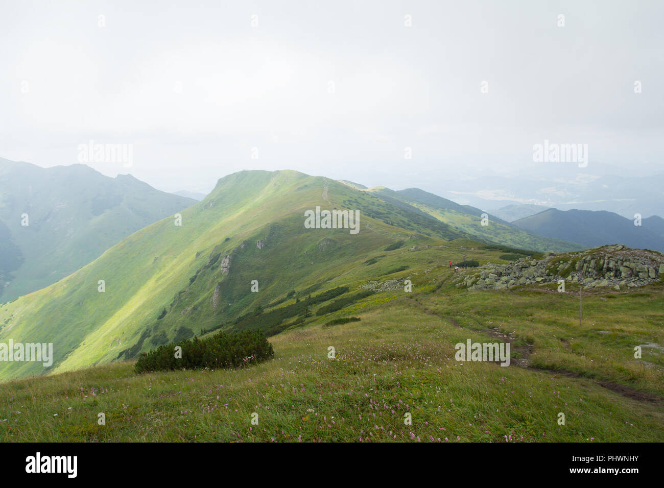 Paysage de montagnes pittoresque Banque D'Images