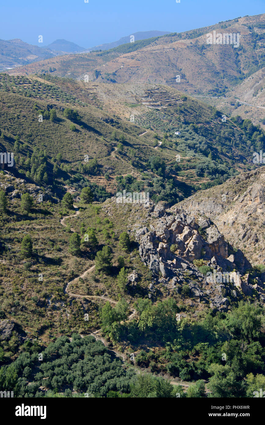 La vallée de la rivière paysage Lanjaron Andalousie Espagne Banque D'Images