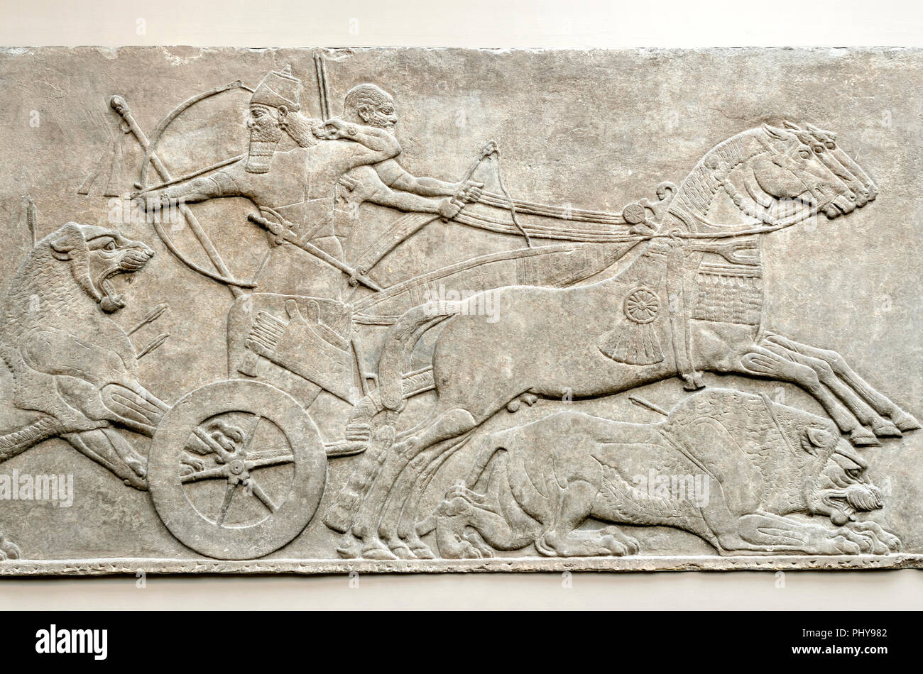 - Chasse au lion sculpture bas-relief assyrien de Nimrud, Nord-Ouest Palace (c865-860BC) British Museum, Bloomsbury, London, England, UK. Banque D'Images