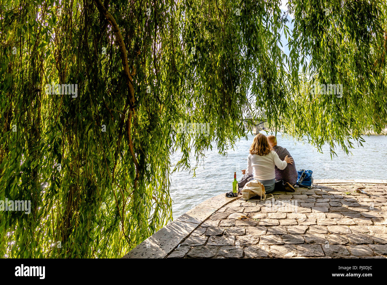 L'homme et la femme assise près de l'autre sur le bord de la seine par Square du Vert-Galant à Paris, avec une bouteille de vin à côté d'eux. Banque D'Images