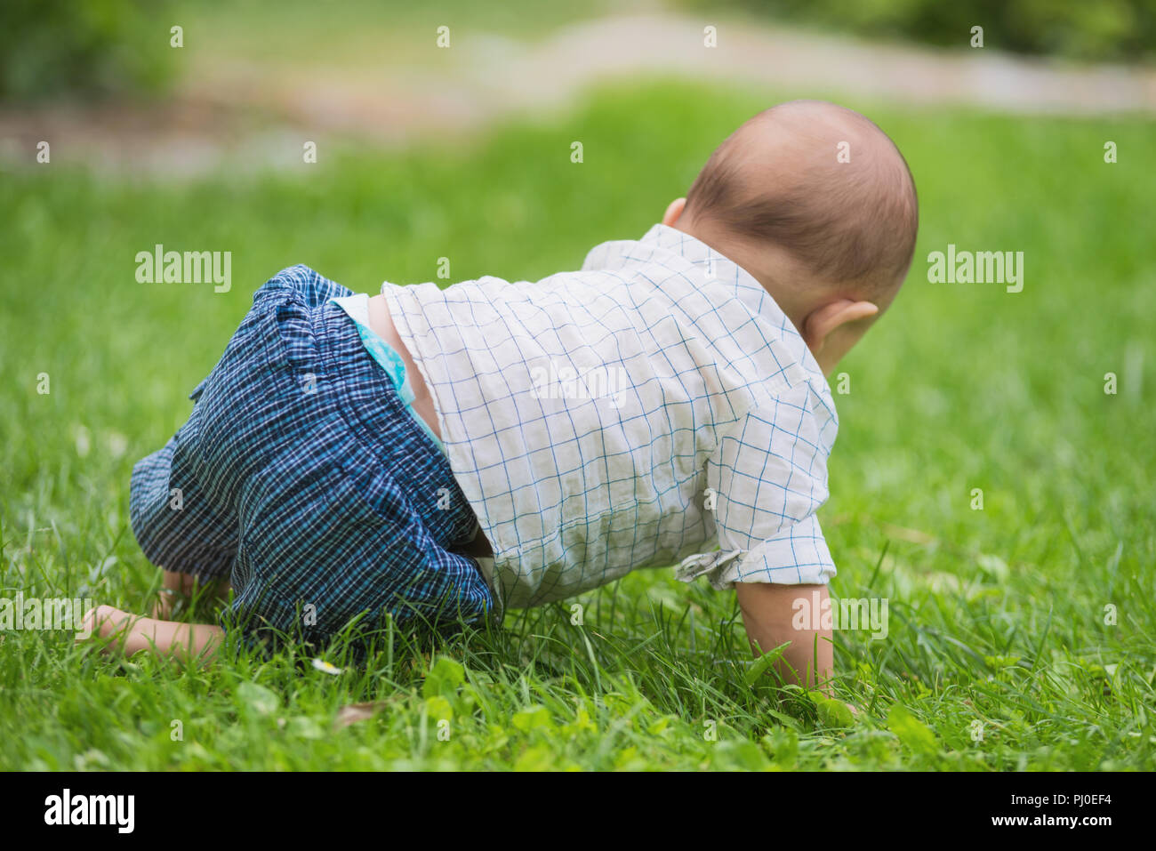 Bébé ramper dans l'herbe du parc Banque D'Images