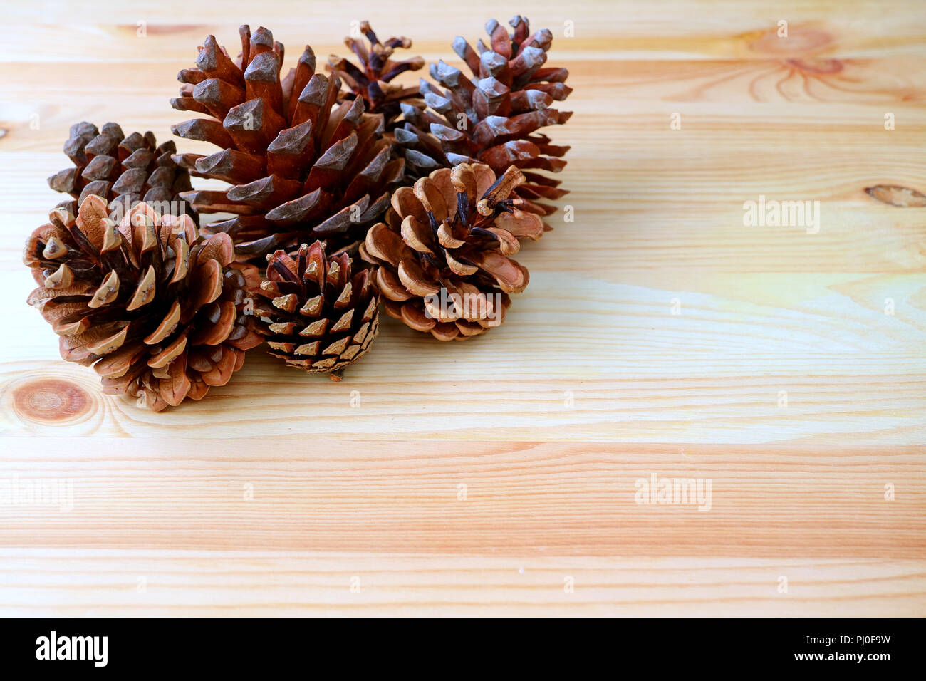 De nombreux cônes de pin sec naturel avec d'autres tailles isolé sur table en bois brun clair avec copie espace Banque D'Images