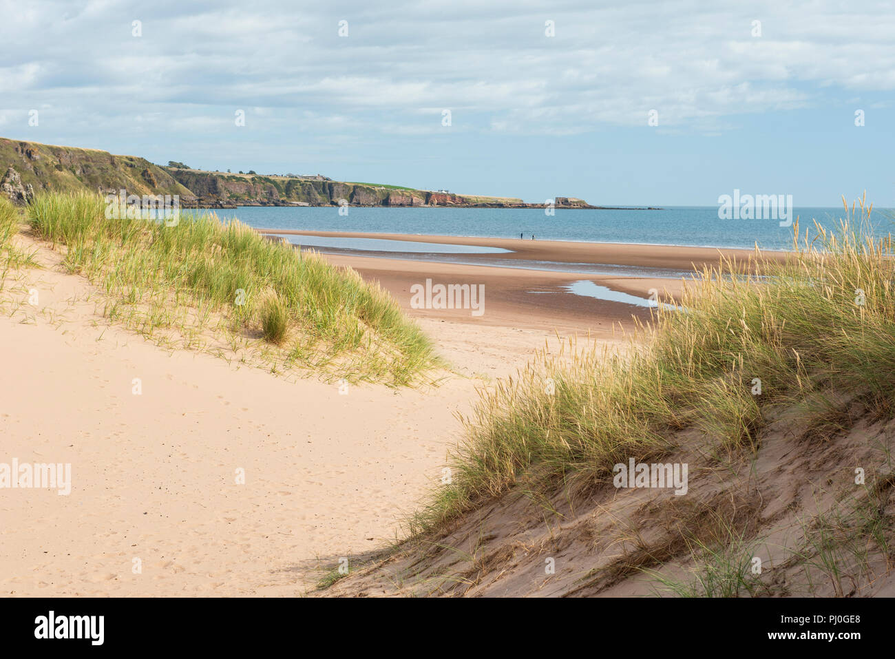 Lunan Bay Beach et des dunes de sable, Angus, Scotland. Banque D'Images