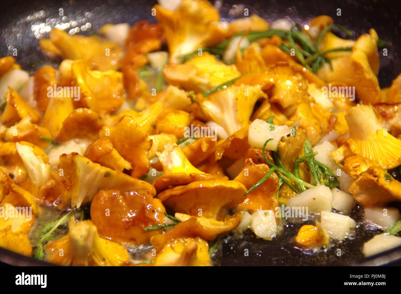 Les chanterelles poêlées à l'oignon et le romarin. La friture d'aliments végétariens sur pan. Banque D'Images