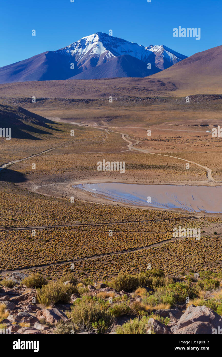 Andes, près de Laguna Canapa, Potosi, Bolivie ministère Banque D'Images
