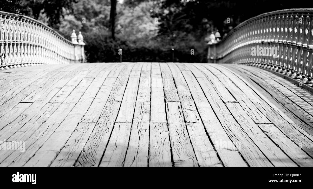 Pont Bow, Central Park à New York noir et blanc low angle Banque D'Images