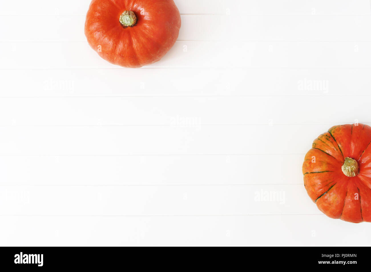 Cadre d'automne de citrouilles Hokkaido orange isolé sur fond de table en bois blanc. Automne, Halloween et Thanksgiving concept. Stock style télévision jeter la photographie. Vue d'en haut. L'espace vide pour le texte. Banque D'Images