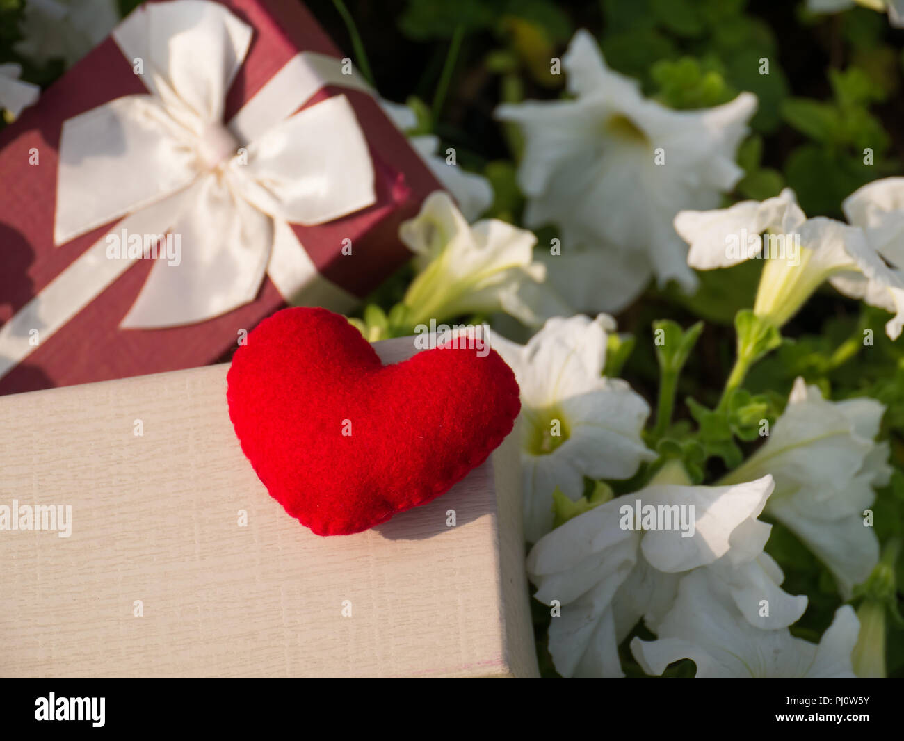 Cœur rouge sur fond de fleurs blanches, de troubles de boîte-cadeau, Banque D'Images