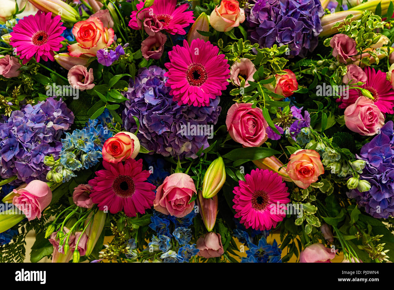 Grand arrangement de fleurs Banque D'Images