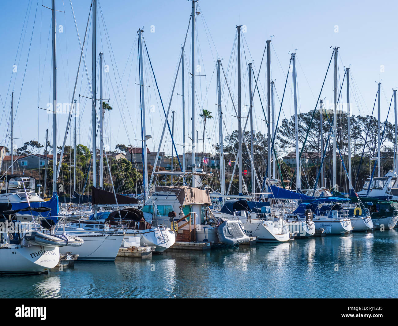 Bateaux à quai dans le port de plaisance, le port d'Oceanside Oceanside, en Californie. Banque D'Images
