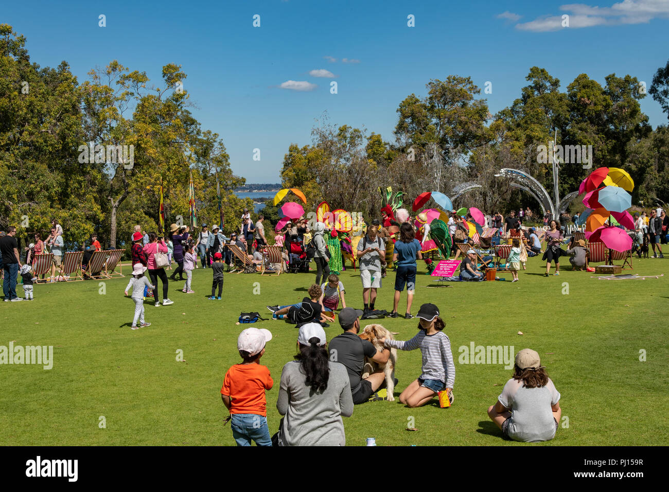 Dimanche après-midi à King's Park, Perth, WA, Australie Banque D'Images