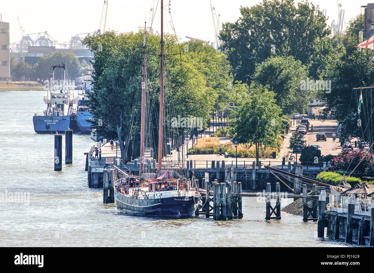 Rotterdam, Pays-Bas, le 3 août 2018 : la vue de Erasmus vers Westerkade quay avec arbres, fleurs et yachts amarrés et plus grands vesse Banque D'Images