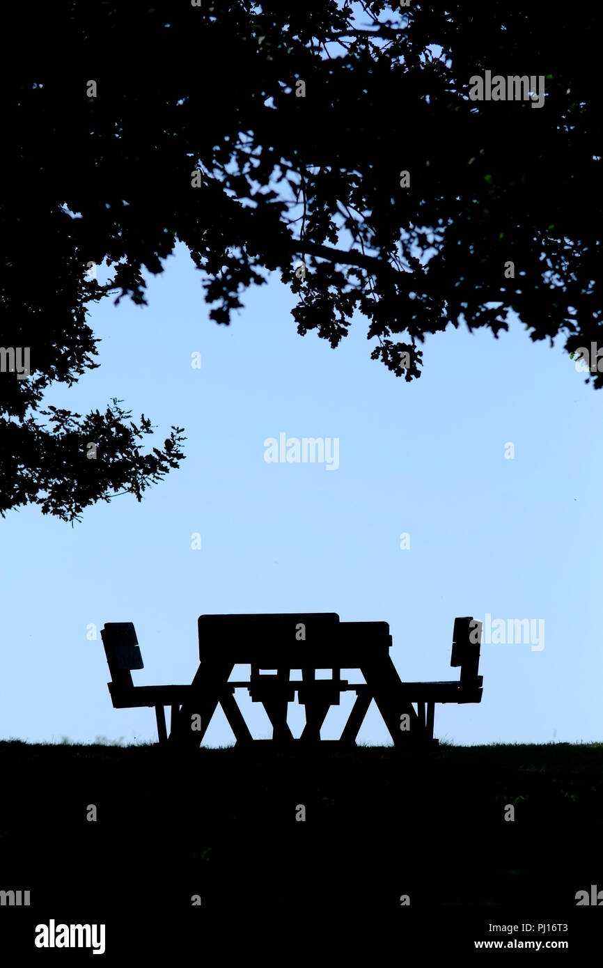 Table de pique-nique sous un arbre, silhouette. Banque D'Images