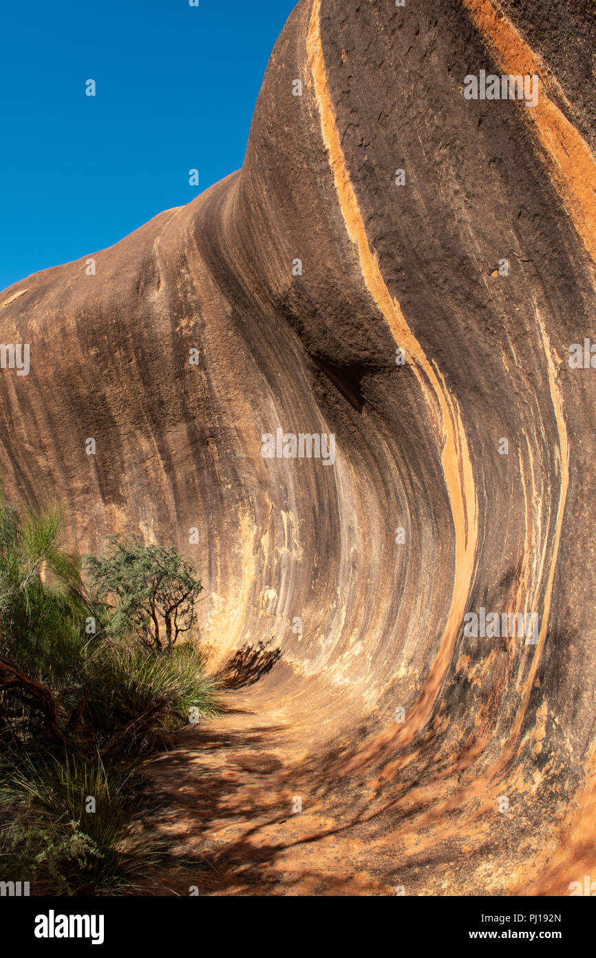 Dans Elachbutting Rock Wave Hill, WA, Australie Banque D'Images