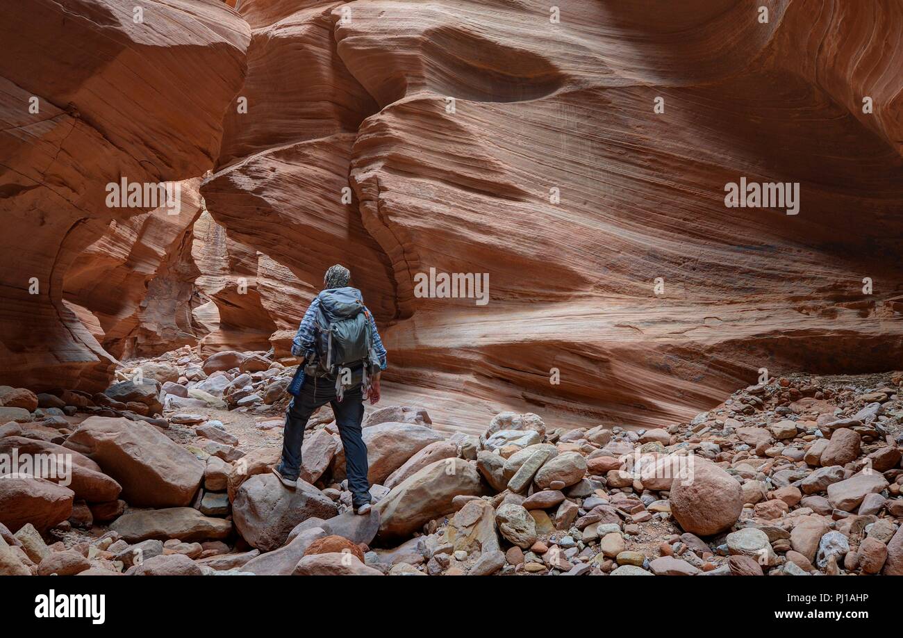 La randonnée, l'homme heureux, San Rafael Slot Canyon désert près de Hanksville, Utah, United States Banque D'Images