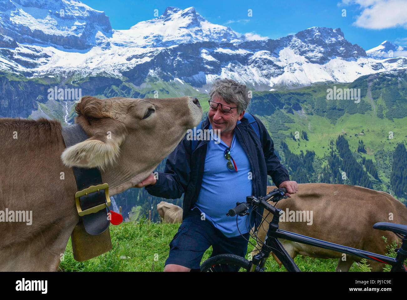 Homme avec un vélo de montagne, de caresser une vache, Suisse Banque D'Images
