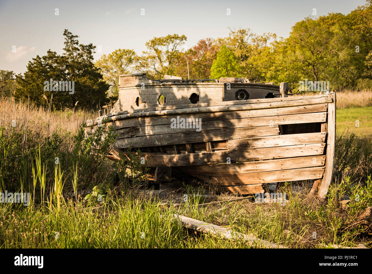 Vieux bateau abandonné sur les rives du fleuve avec des sous-bois et les oiseaux nicheurs Banque D'Images