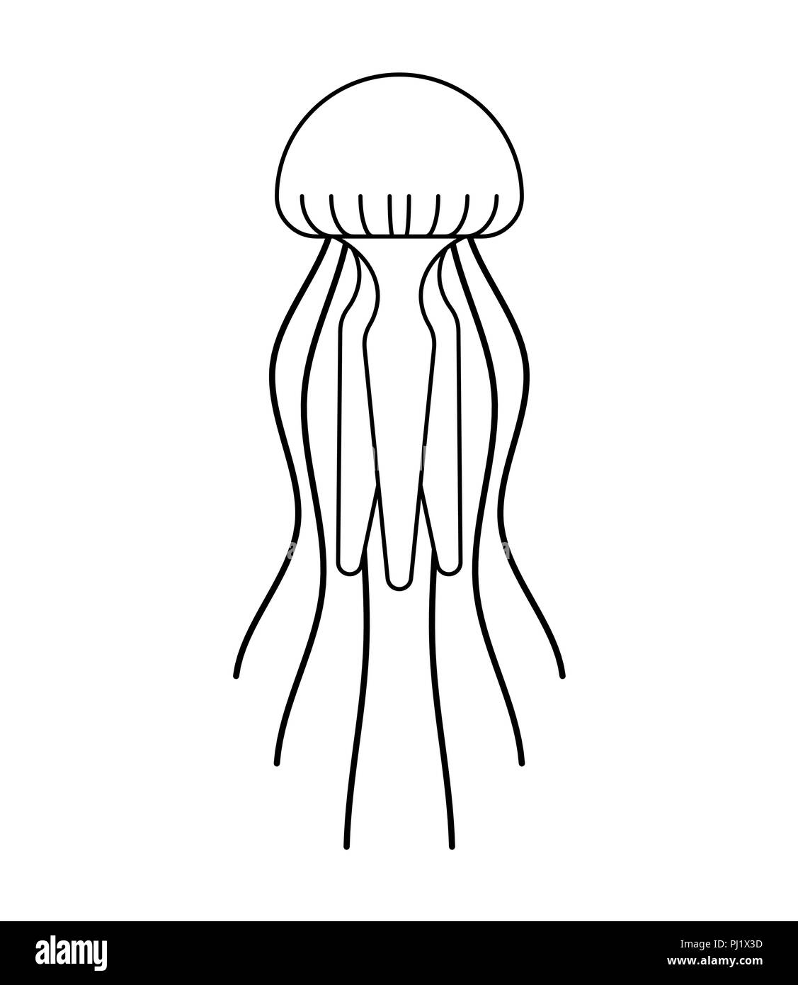 Les méduses isolées. Des animaux de la faune marine. Vector illustration Illustration de Vecteur