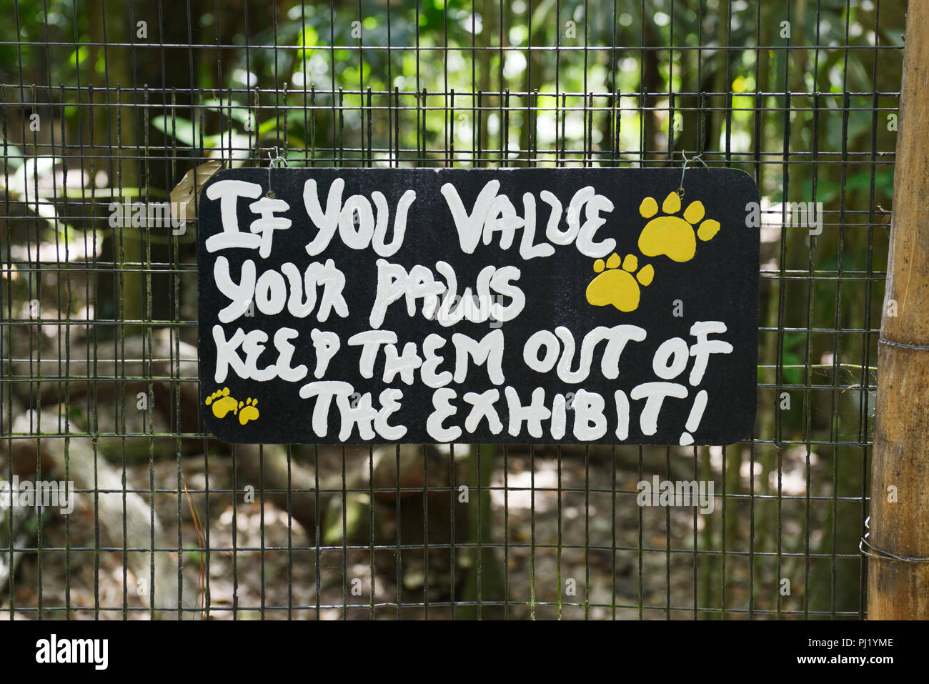 Zoo de Belize Banque D'Images