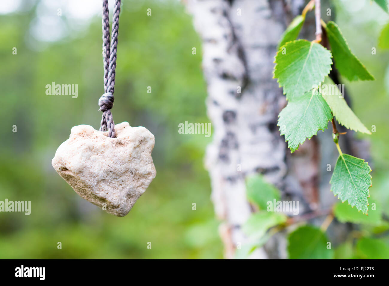 Le coeur de pierre, accroché sur une corde sur un bouleau dans le bois vert Banque D'Images