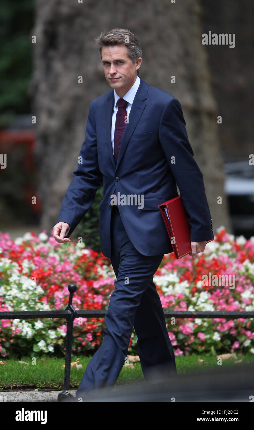 Londres, Royaume-Uni, 4 septembre 2018. Gavin Williamson, député du CBE, secrétaire d'État à la Défense, assiste à une réunion du Cabinet au 10 Downing Street, à Londres Banque D'Images