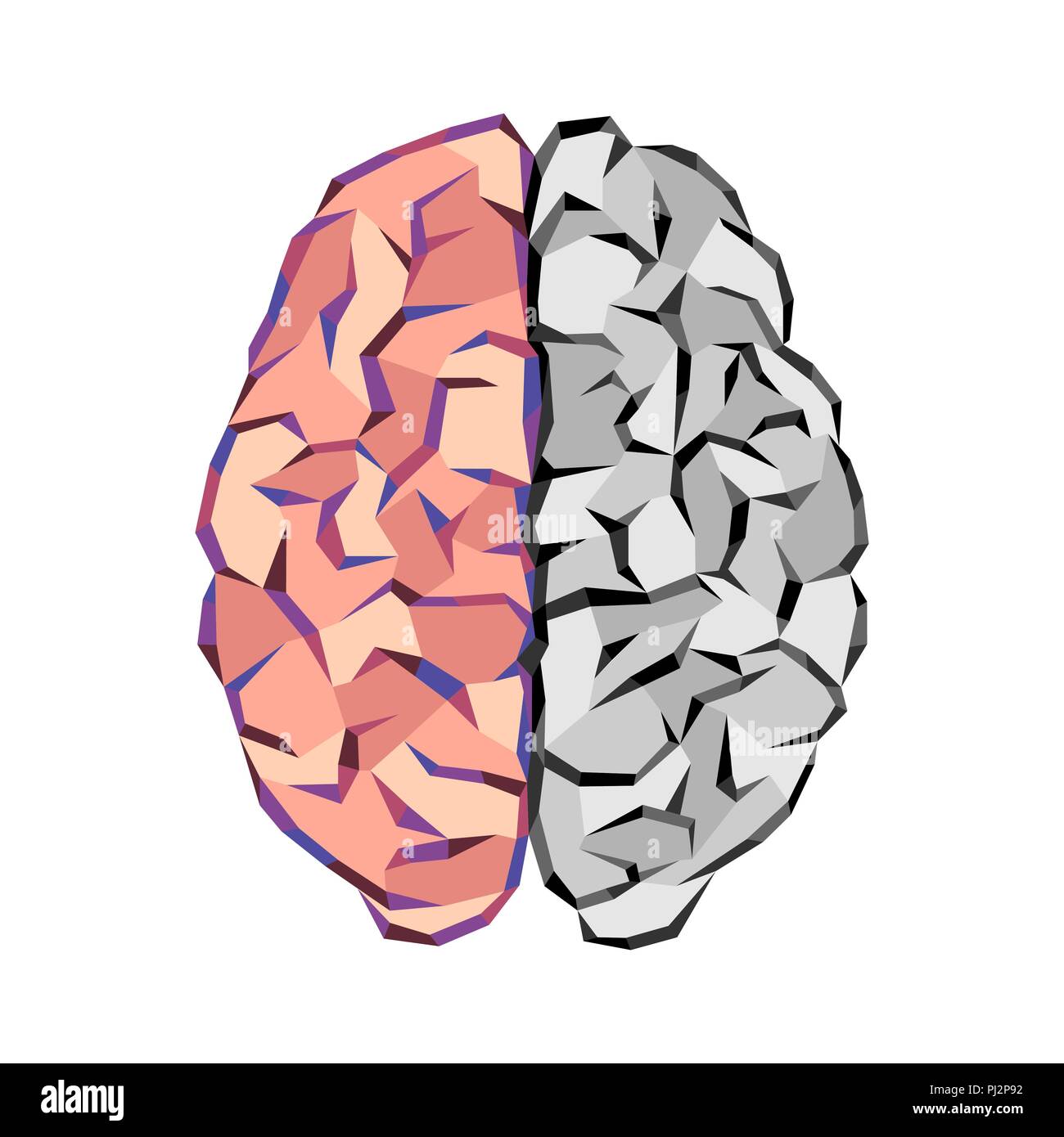 Cerveau humain abstrait silhouette aux éléments triangle isolé sur fond blanc Illustration de Vecteur