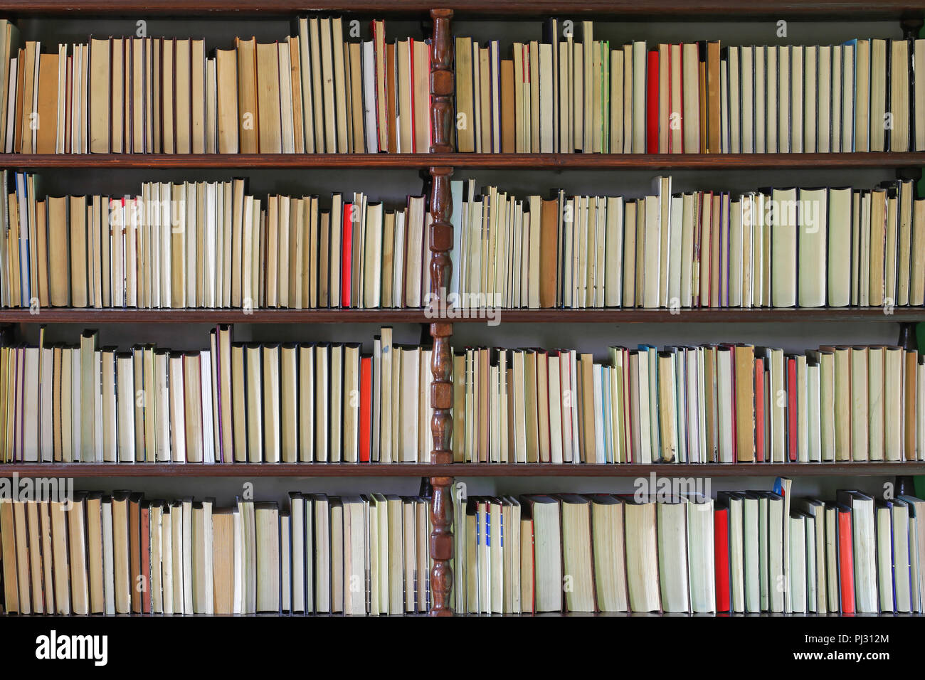 Livres à la Grande Bibliothèque en étagère en bois Banque D'Images