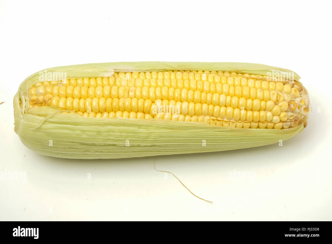 Les tiges de maïs cru Banque D'Images