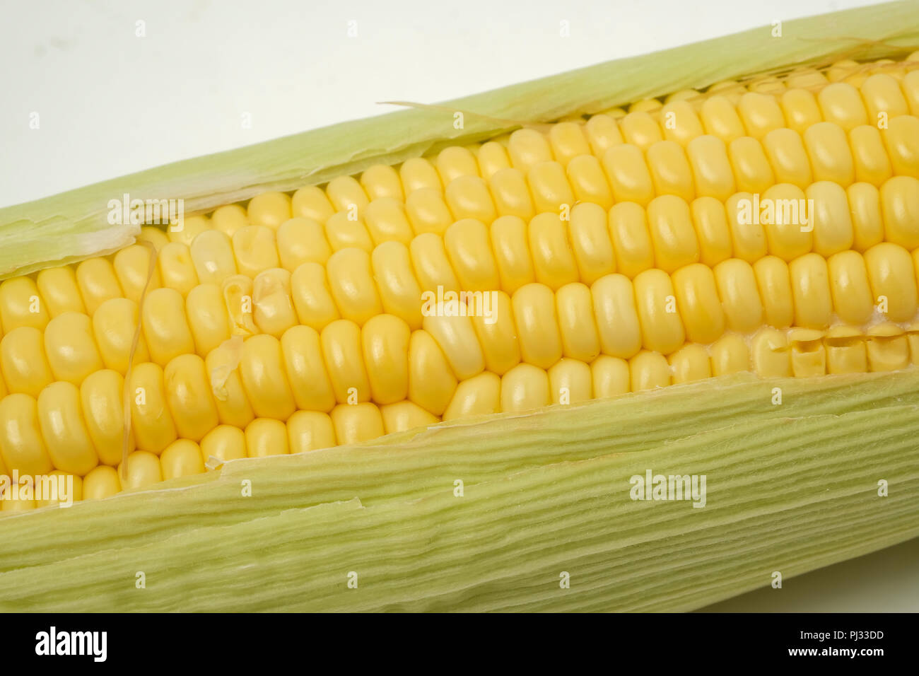 Les tiges de maïs cru Banque D'Images