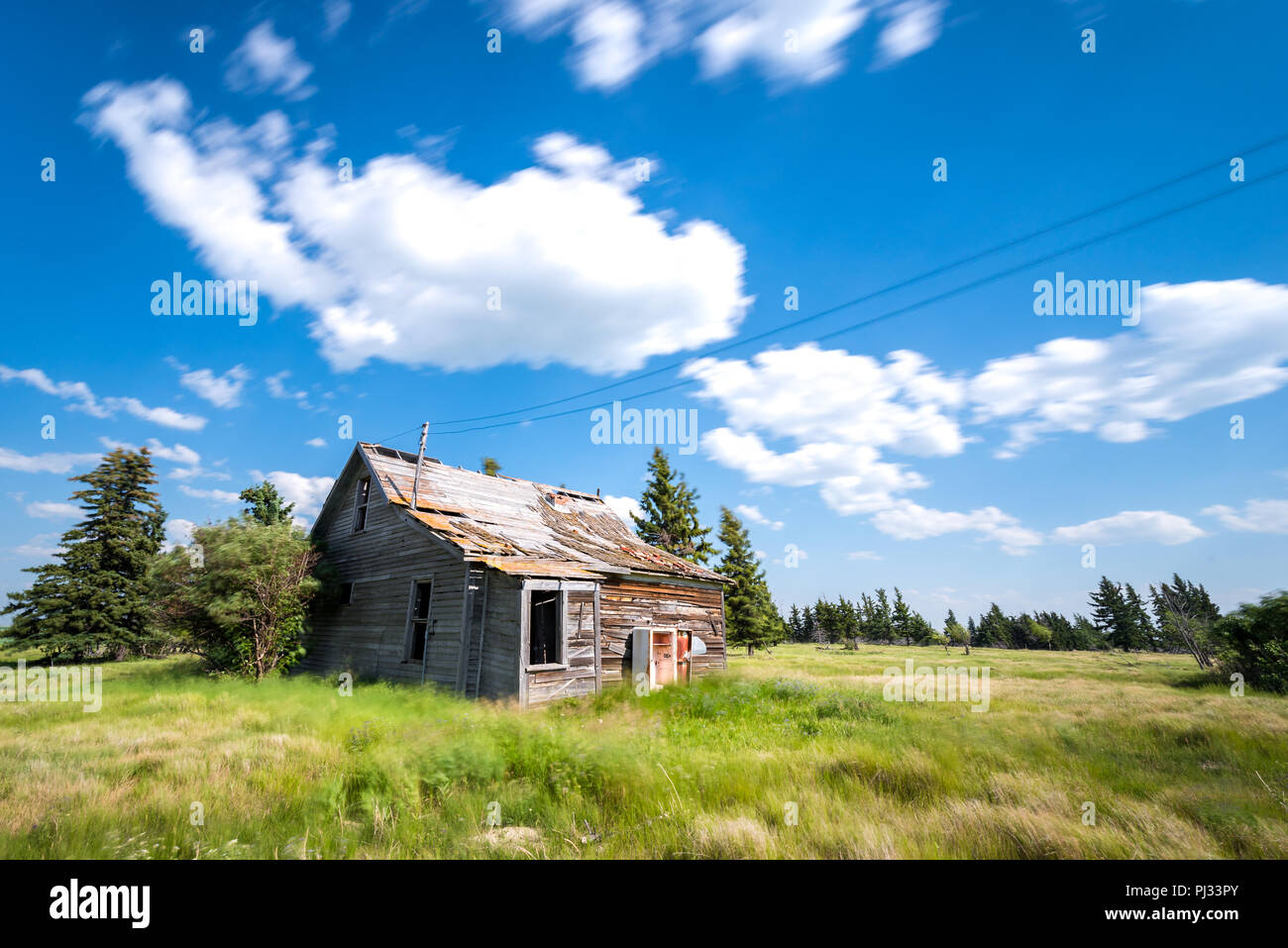 Ancienne ferme des prairies entourées d'arbres, d'herbes hautes et ciel bleu en Saskatchewan, Canada Banque D'Images