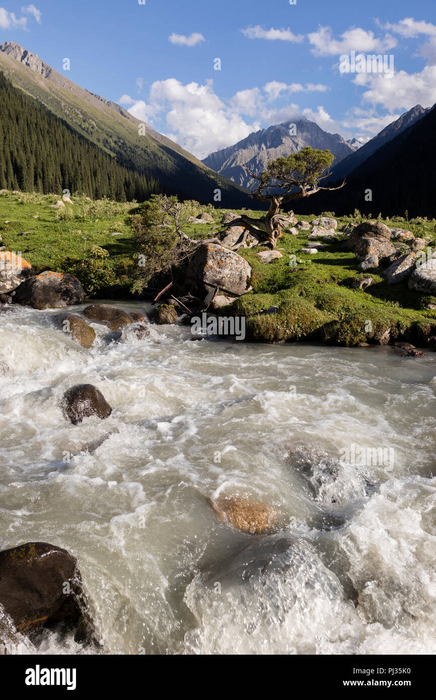 De la vallée Altyn-Arashan en fin d'après-midi avec un ruisseau au premier plan au Kirghizstan Banque D'Images