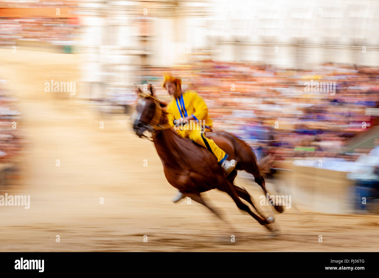 Un jockey à cheval pour l'Aquila (Aigle) via prend part à une course d'essai dans la Piazza del Campo, le Palio di Siena, Sienne, Italie Banque D'Images