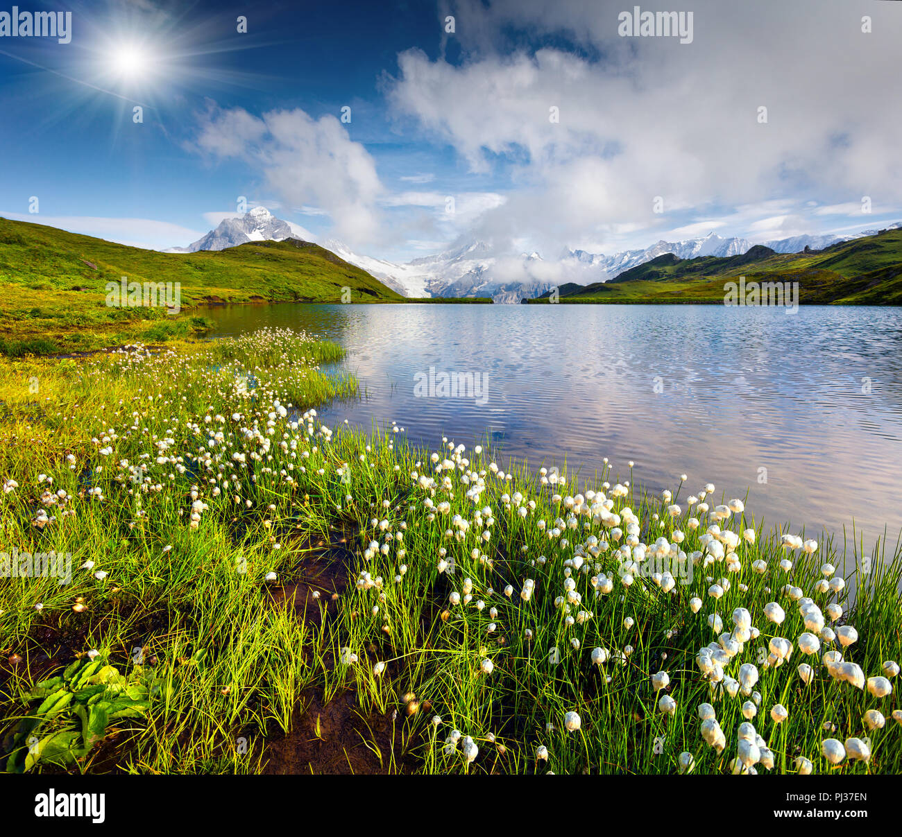 Wetterhorn et Wellhorn pics dans la brume du matin sur le lac Bachsee. Scène d'été colorés en Rhône-Alpes, Innertkirchen, Suisse, Europe. Banque D'Images