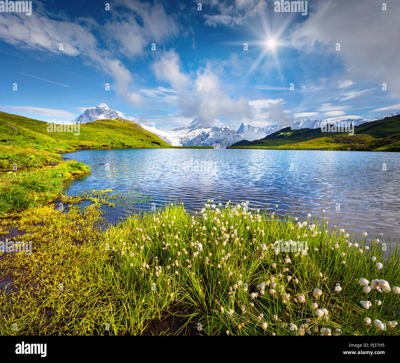Wetterhorn et Wellhorn pics dans la brume du matin sur le lac Bachsee. Scène d'été colorés en Rhône-Alpes, Grindelwald, Innertkirchen Banque D'Images