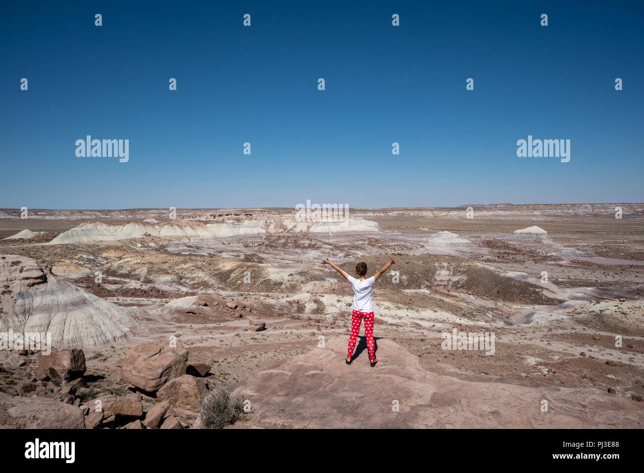 Female traveler se dresse sur un rocher dans le Parc National de la forêt pétrifiée de l'Arizona. Concept pour les femmes et de la liberté de voyage solo Banque D'Images