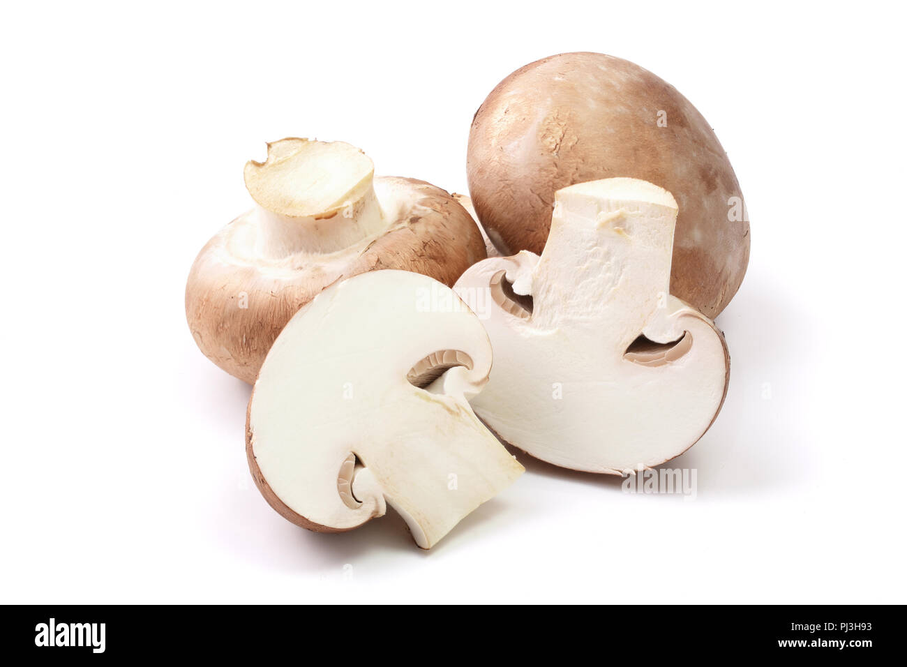 Brown Royal champignon avec la moitié isolé sur fond blanc Banque D'Images