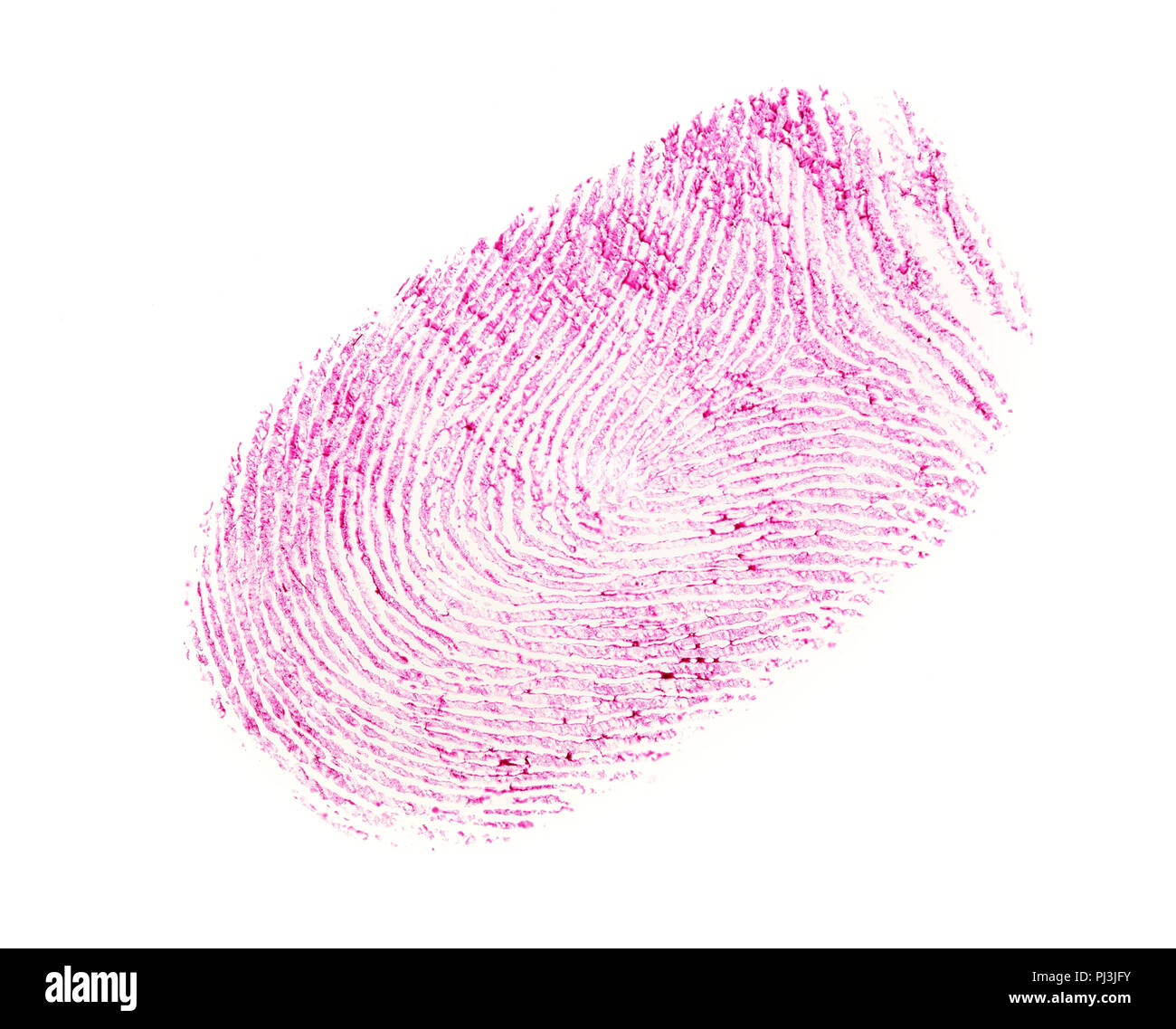 Empreintes digitales rose isolé sur fond blanc Banque D'Images