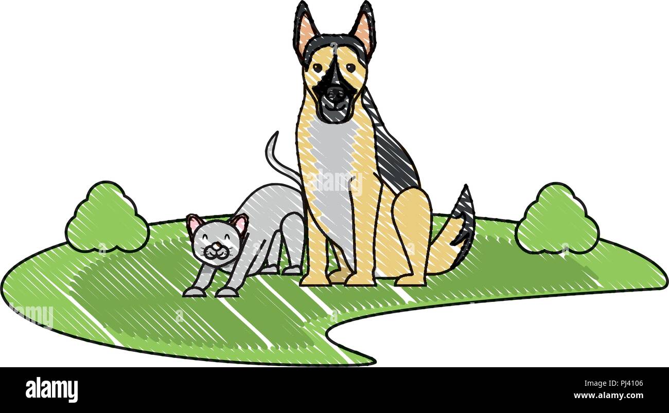 Berger allemand et mignon chat dans l'herbe sur fond blanc, vector illustration Illustration de Vecteur