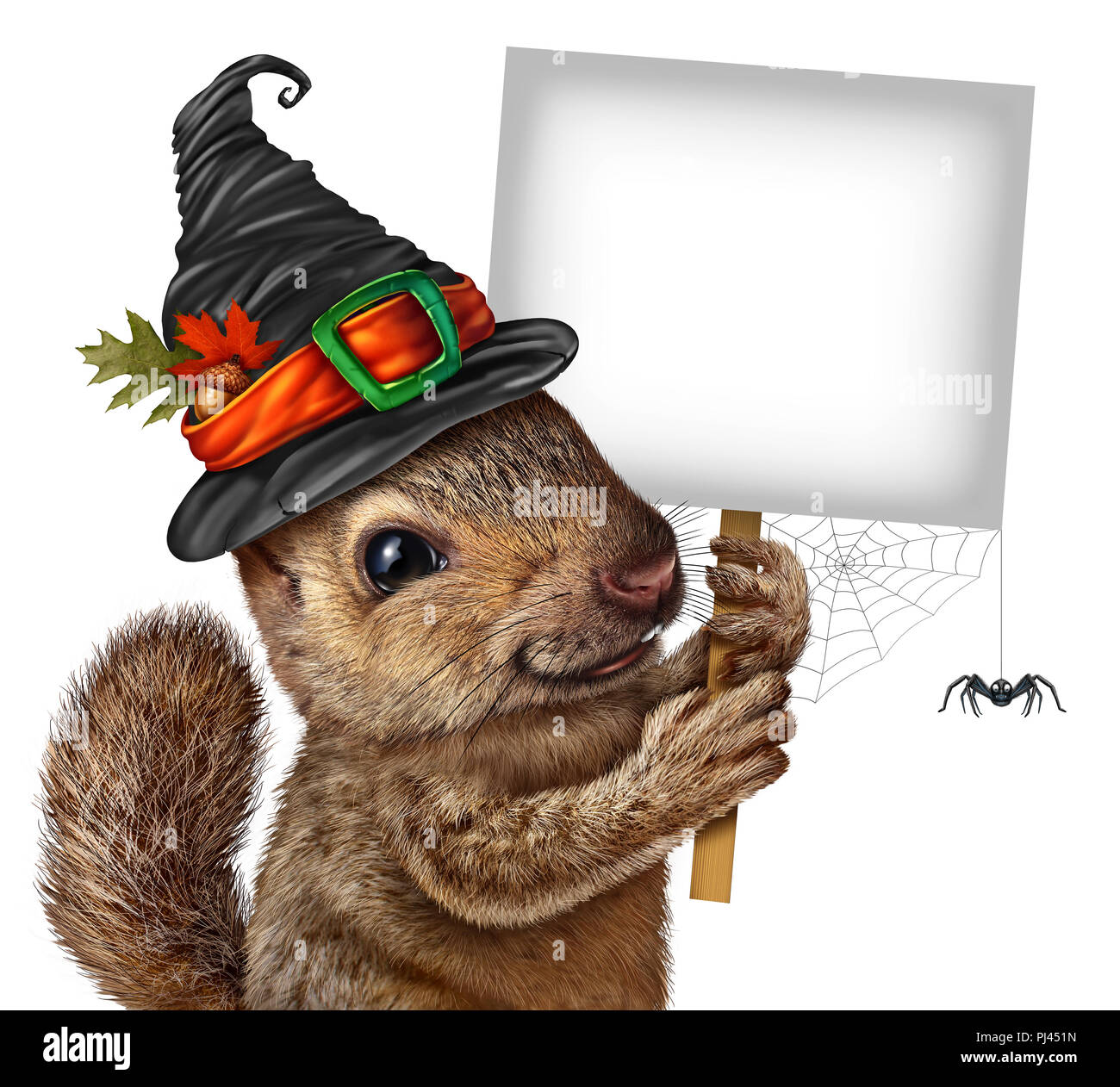 Écureuil Halloween concept signe aussi mignon rongeur heureux avec spider spooky porte un chapeau de sorcière holding a blank sign comme un automne festif et à l'automne. Banque D'Images