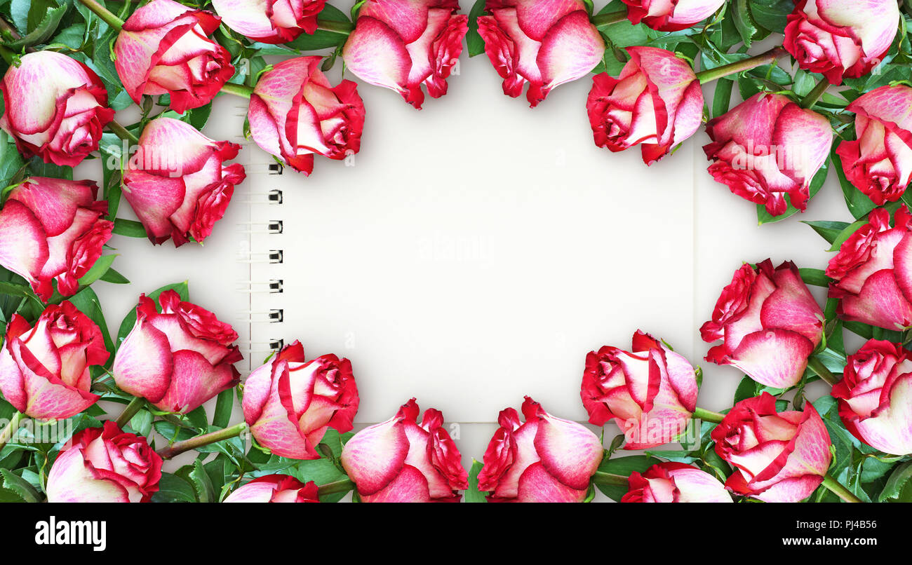 La Structure Horizontale De Fleurs Et Fleurs Rouge Rose