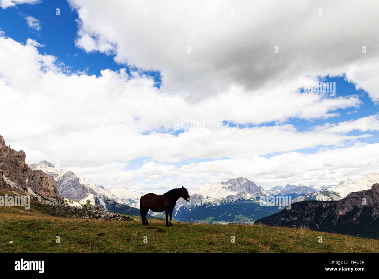 Un cheval au Passo Giau Dolomites pics Sapl en Italie Banque D'Images