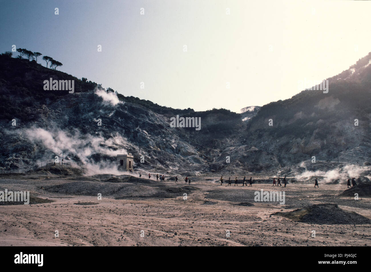 Caldera Solfatara Pozzuoli, Italie en 2006 (Solfatara Solfatara Pozzuoli di : italien) est un cratère peu profond à Pozzuoli, près de Naples, une partie de l'Campi Flegrei (Italien : Campi Flegrei) région volcanique. Il s'agit d'un volcan dormant, qui émet encore jets de vapeur avec des vapeurs sulfureuses. Le nom vient du latin terra, les sulfamides antibactériens, 'Terre de soufre' ou 'sulfur' de la terre. Il a été formé autour de 4000 ans et sa dernière éruption en 1198 avec ce qui était probablement une éruption phréatique - une éruption à vapeur explosive provoquée lorsque l'eau souterraine interagit avec magma. Le cratère est une destination touristique très attr Banque D'Images