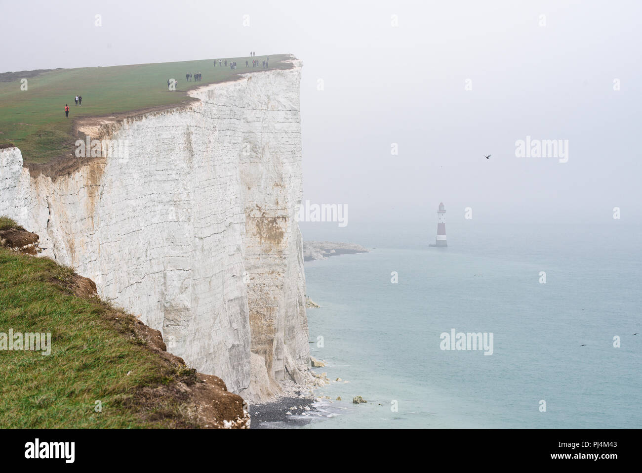 Phare dans la brume, grande falaise, à distance et les oiseaux jouer et voler librement sous la falaise. Petite silhouette d'un homme escalade la falaise. Beachy H Banque D'Images