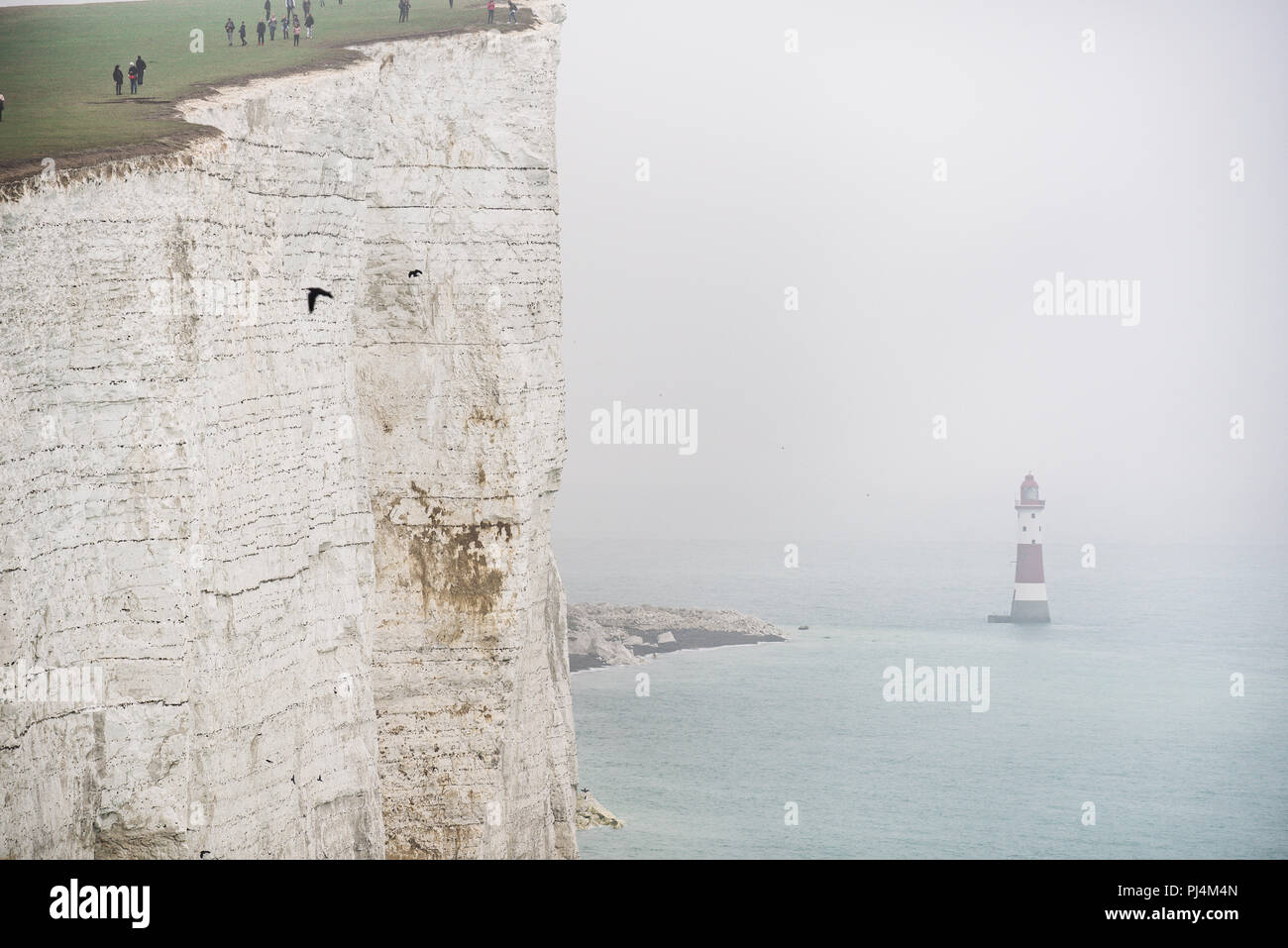 Phare dans la brume, grande falaise, à distance et les oiseaux jouer et voler librement sous la falaise. Petite silhouette d'un homme escalade la falaise. Beachy H Banque D'Images