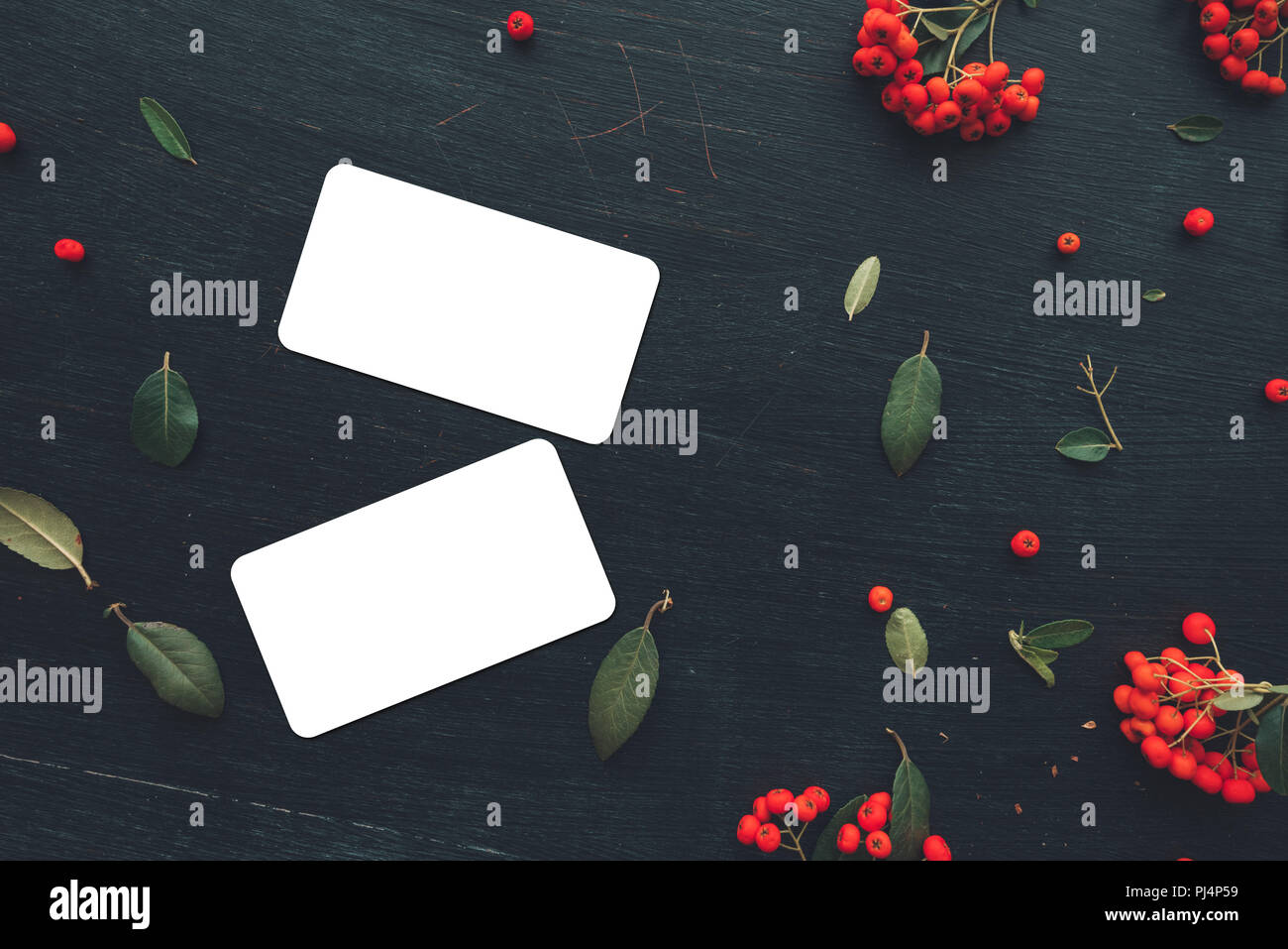 Carte de mise à plat avec des coins arrondis mock up copie espace Vue de dessus sur fond sombre décoré de petits fruits sauvages arrangement Banque D'Images