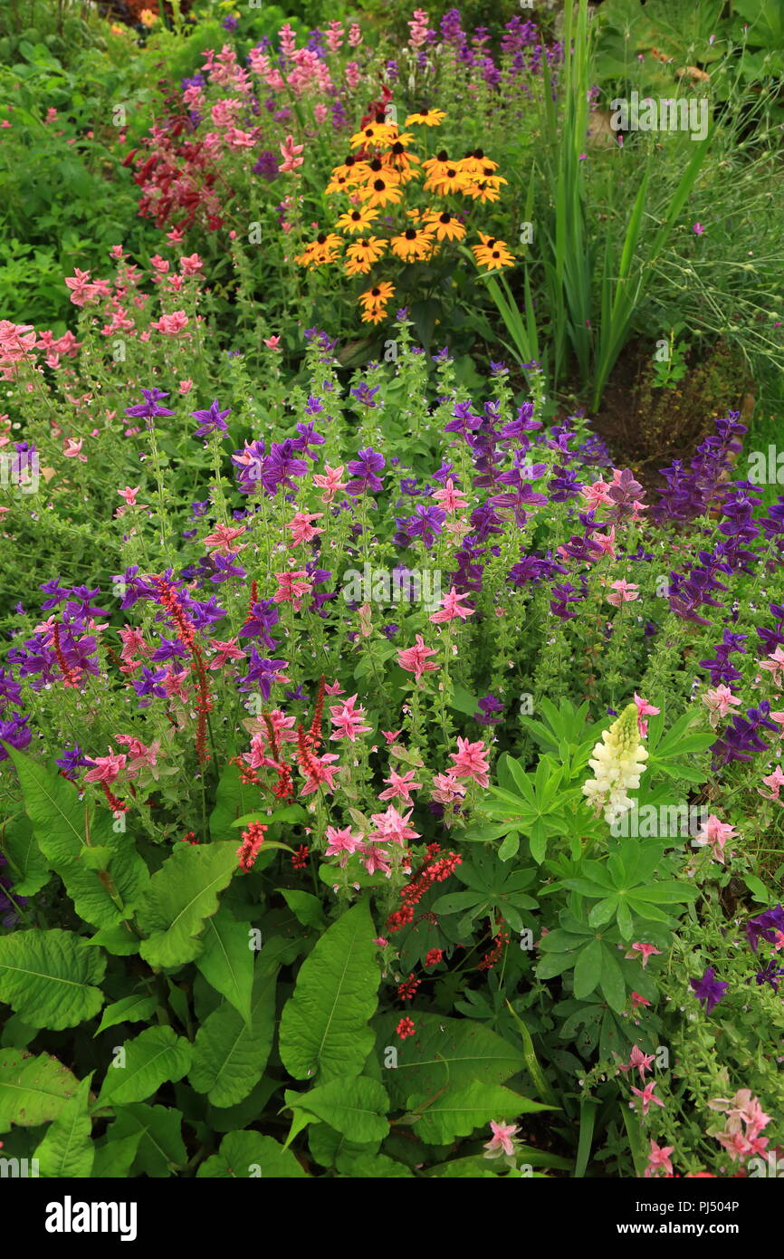 Lit de fleur dans le jardin de style cottage anglais Banque D'Images